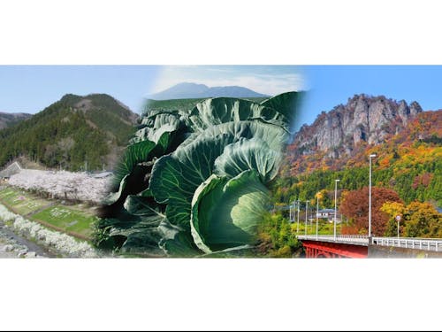 左から神流町のつつじ山/嬬恋村のキャベツ畑/東吾妻町の岩櫃山