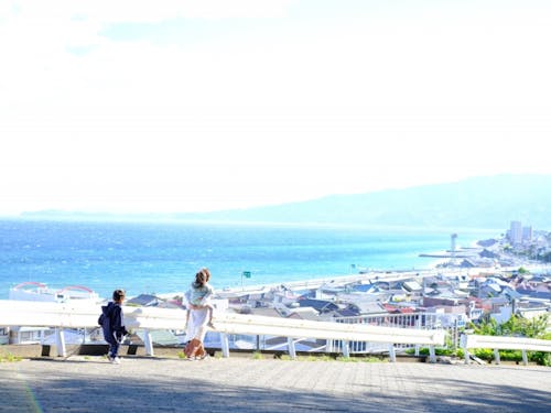 高台からの景色
