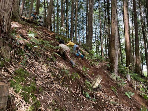 メインの活動場所の加陽水辺公園。子どもたちが坂登りにチャレンジ。