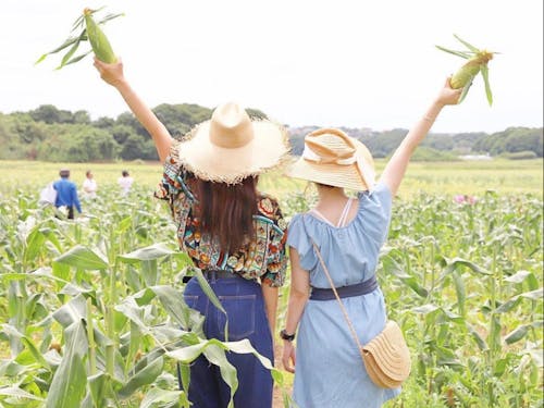 ドローンでの空撮撮影会