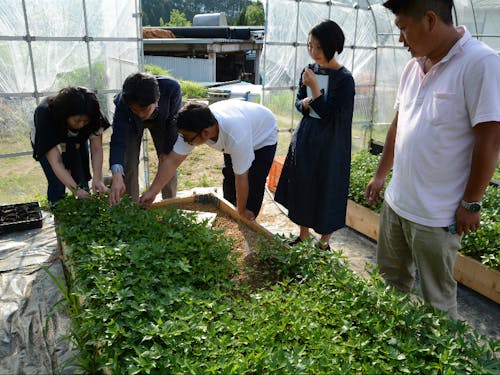 奈良の薬草農家さんを訪ねた時の様子