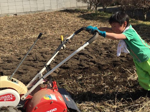 子供の食育にもなる家庭菜園