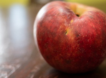 相談会中に地元の農家さんが持ってきたリンゴ。地元の方の乱入も面白いハプニングのひとつです