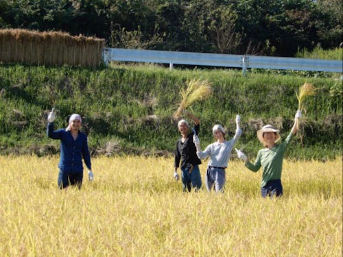 ゲストの東山さんと地域の方の稲刈り参加の様子