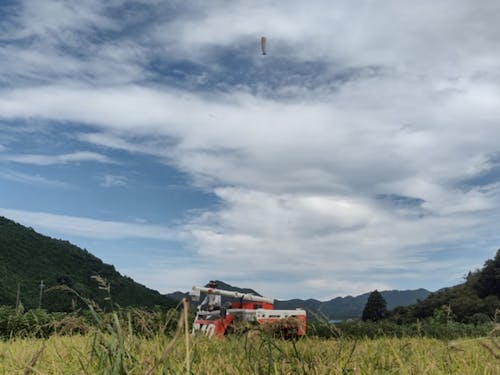 初秋の青空を見上げるとパラグライダーが飛んでる!