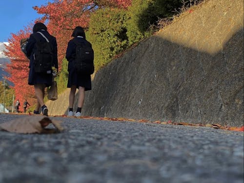 のどかな通学路は楽しい?つまらない?