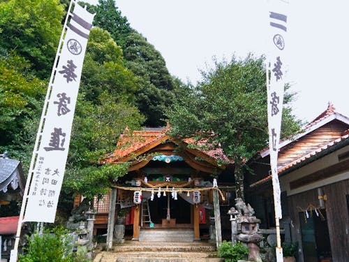 ライブ配信はここ、高佐八幡宮からお届けします!