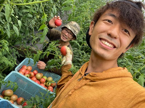 ハウスでトマトを収穫する高橋さん(左)と、お手伝いリポートをするJOくん