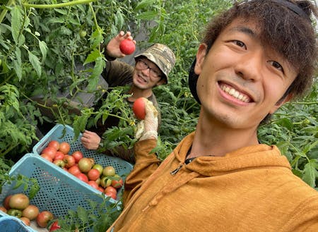 ハウスでトマトを収穫する高橋さん(左)と、お手伝いリポートをするJOくん