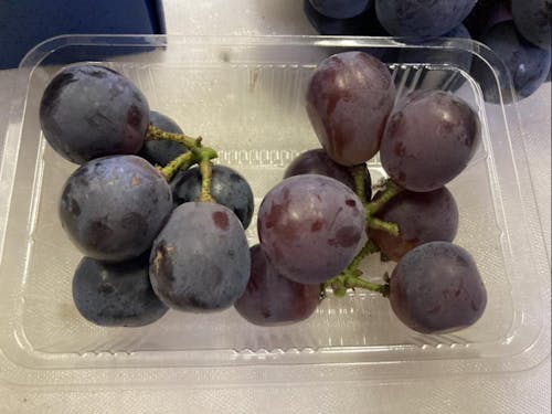 色の違いがわかるかな?