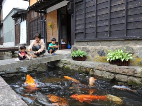 飛騨古川の瀬戸川