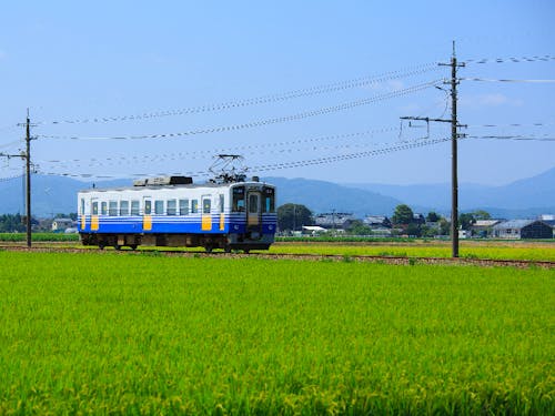福井のローカル線えちぜん鉄道。田んぼ道を走るのどかな風景です。