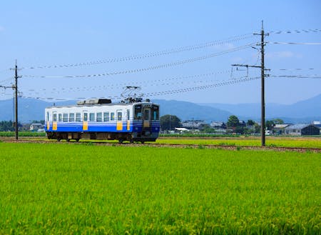 福井のローカル線えちぜん鉄道。田んぼ道を走るのどかな風景です。