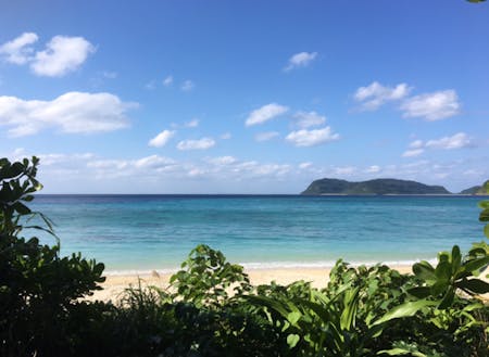 沖縄の離島に暮らすとこんな景色も毎日臨めます