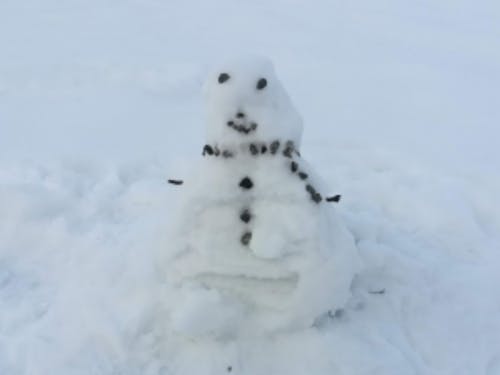 雪だるまを紹介。季節も感じれます。