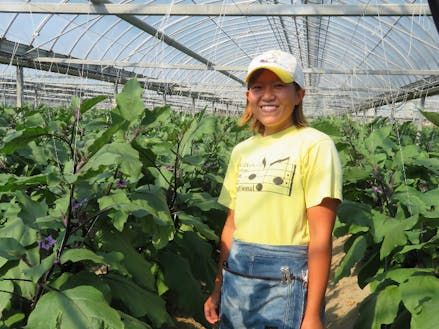 独立ナス農家1年生の岡本さん。