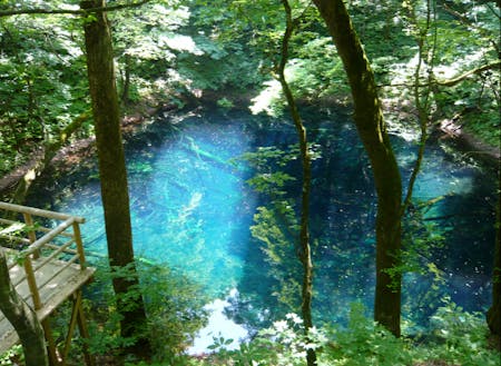 神秘の湖「青池」