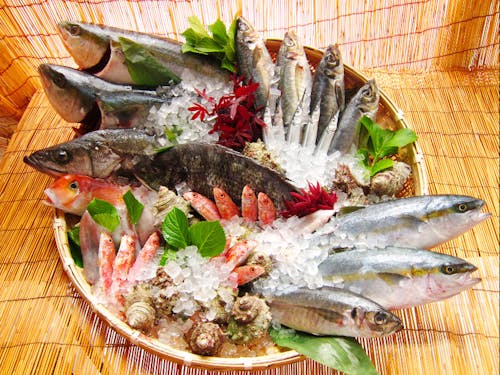 萩の海は魚の宝庫!おいしい魚がそろいます!