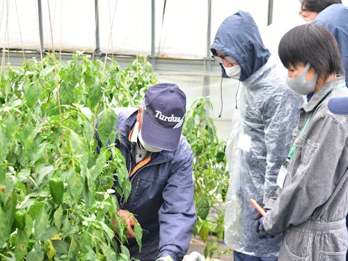 現地体験ツアーの様子