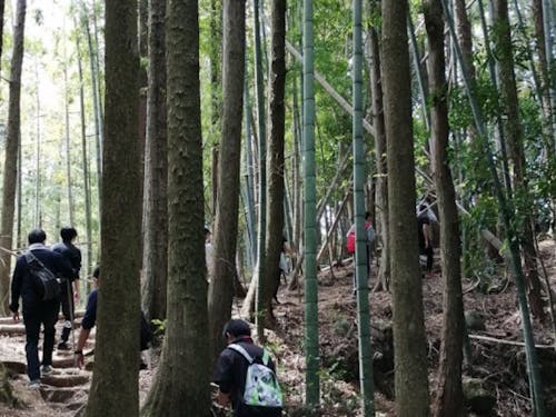 新人研修風景その1（熊野古道散策）