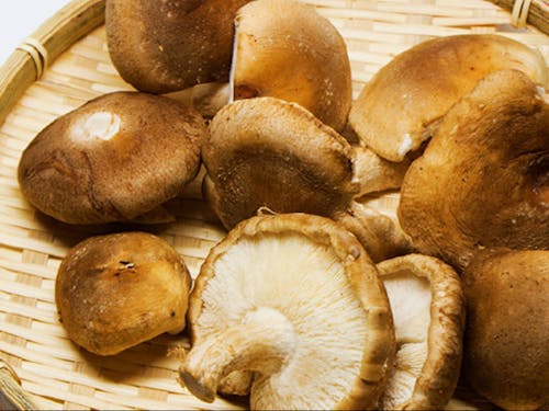 肉厚な旬のしいたけをどうぞ♪