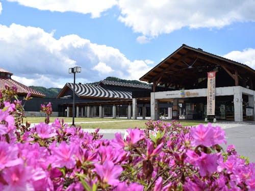 地域交流センター「鰐come」