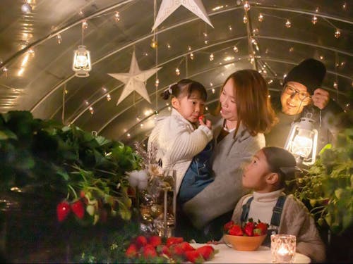 グランピングをしながら日本一のいちごを堪能できる場所もあります