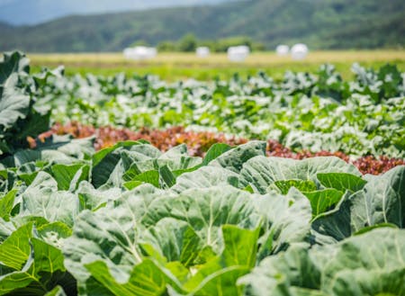 持続可能な農業のカタチをつくる