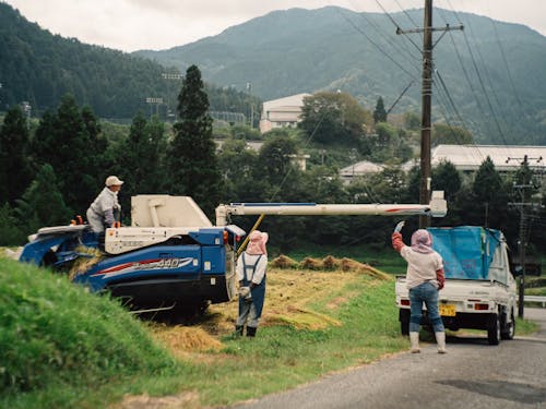 お米の収穫も、協力しあって。