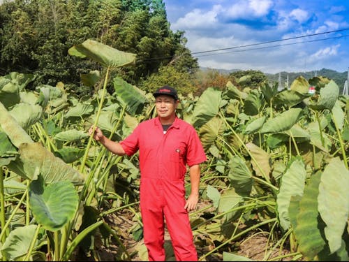 地域ディレクターの白石さん