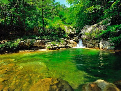 美しい風景も、知られなければ足を運ぶことはできません