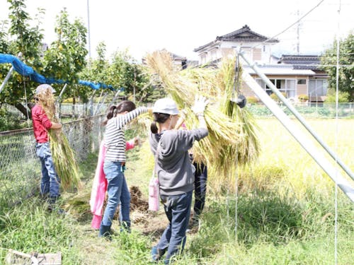 地方で農業を体験