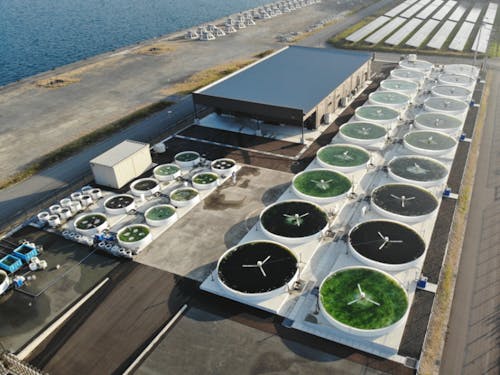 陸上養殖の様子