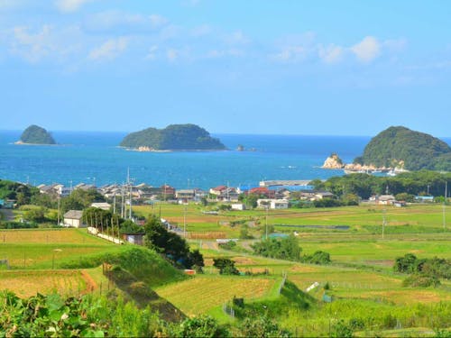 野山と海が共存。