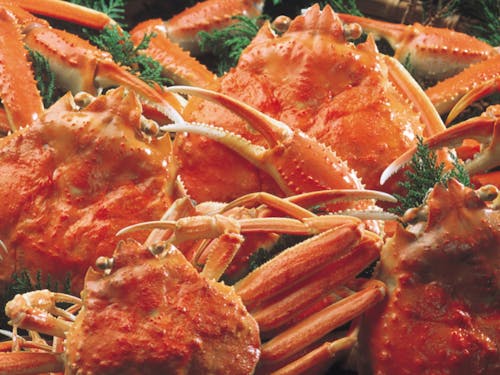 何といっても日本海の幸がおいしい地域です