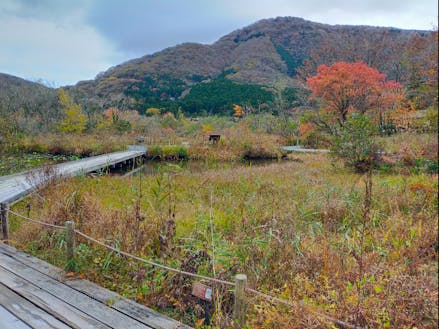 秋に色づく箱根