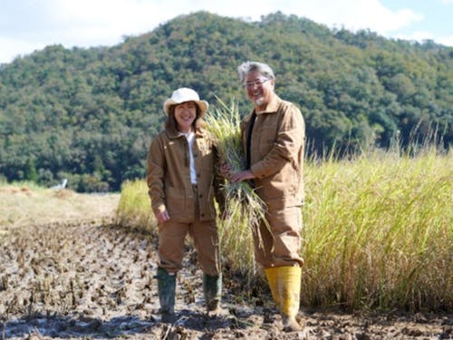 豊岡市のスーパー農家 坪口農事未来研究所の平峰さんご夫妻