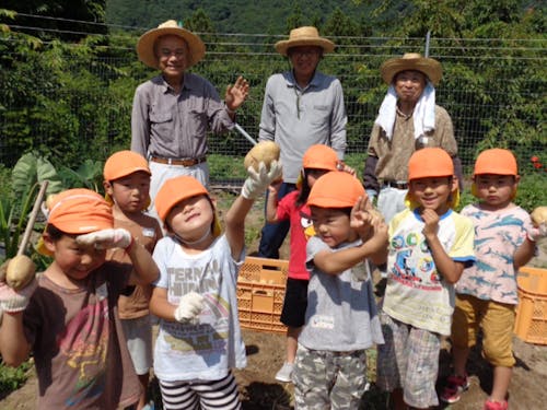 ジャガイモ収穫!