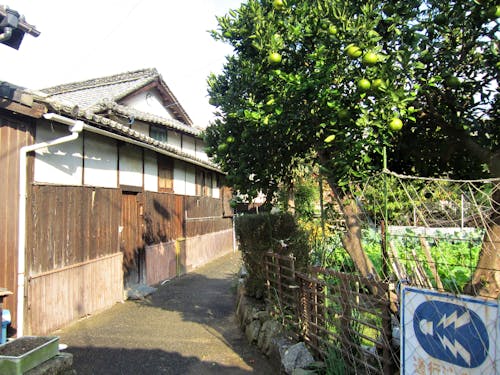 「島暮らし」のリアルを直接お話しし、皆様の疑問に答えます!