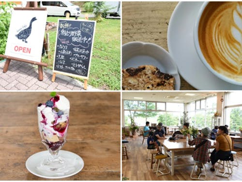 カフェの様子と人気の尾花沢産ブルーベリーパフェ