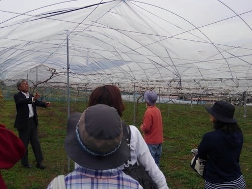 ぶどうつくり隊の説明会の様子。左側で説明しているのが葡萄が丘農業研究所の所長である工藤氏。他は説明を聞く参加者の方々。