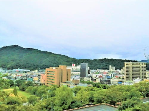 亀山公園山頂広場から本市中心市街地を望む