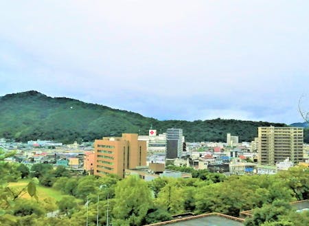 亀山公園山頂広場から本市中心市街地を望む