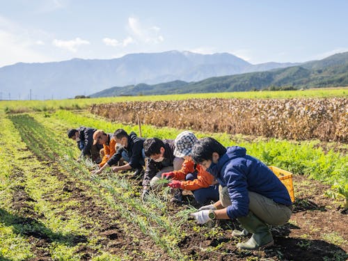 中央アルプスと南アルプスに囲まれた絶景で農業研修