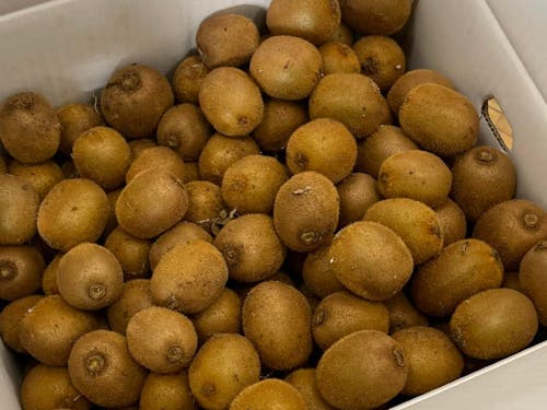 大量の地元キウイが届く、人のつながりが面白い!