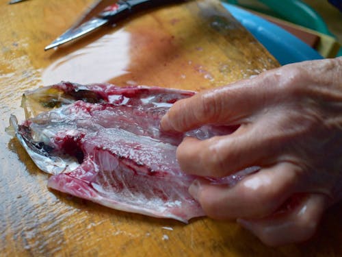 魚の捌き方も教えて貰いましょう