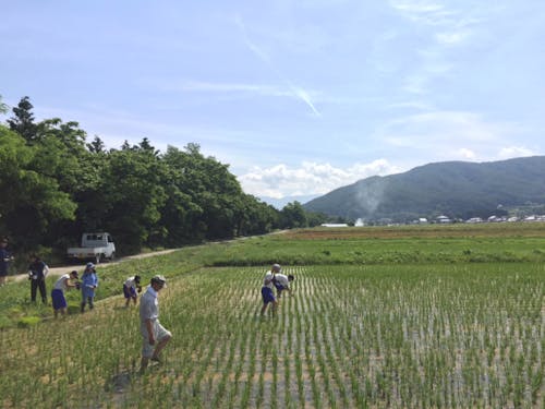 伊那市での農業や林業、アクティビティ体験を提供