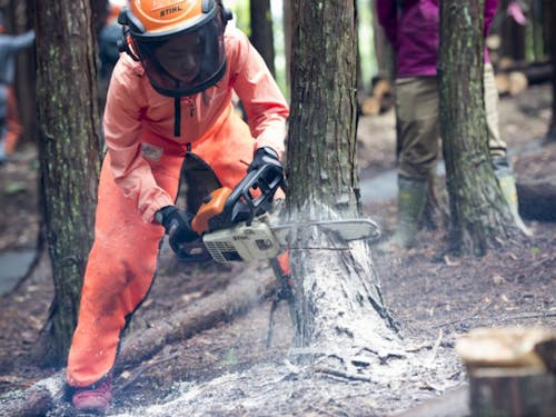 ちゃんとした知識を付ければ、初心者の方でも、女性の方でも、チェーンソーを使って木を伐れるようになります。