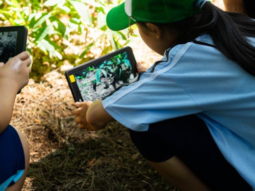 ICTを手段とした教育