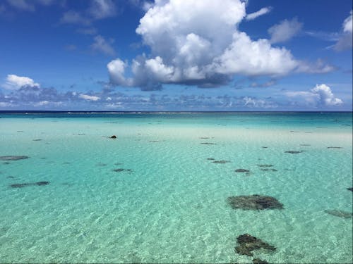 海近ライフを検討してみませんか？